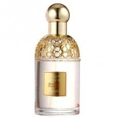 Aqua Allegoria Bouquet Numero 1